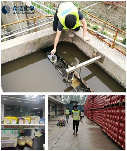 j9九游会真人游戏第一品牌环保工程师走访深圳维他奶