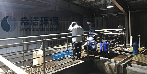 j9九游会真人游戏第一品牌铬废水重金属捕捉处理工艺