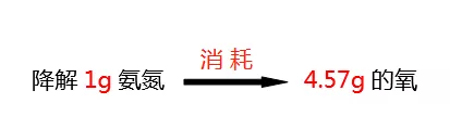 氨氮降解所需氧的比值_j9九游会真人游戏第一品牌环保
