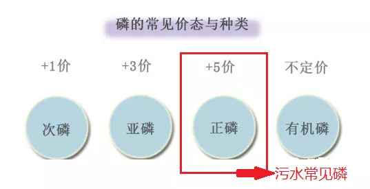 磷的价态_j9九游会真人游戏第一品牌环保
